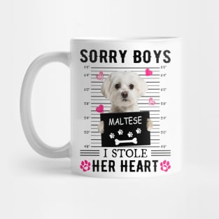 White Maltese Sorry Boys I Stole Her Heart Valentine's Day Mug